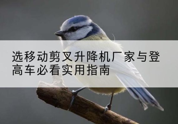 江城电动升降机厂家-选移动剪叉升降机厂家与登高车必看实用指南