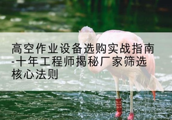 江城剪叉式升降机厂家-高空作业设备选购实战指南-十年工程师揭秘厂家筛选核心法则